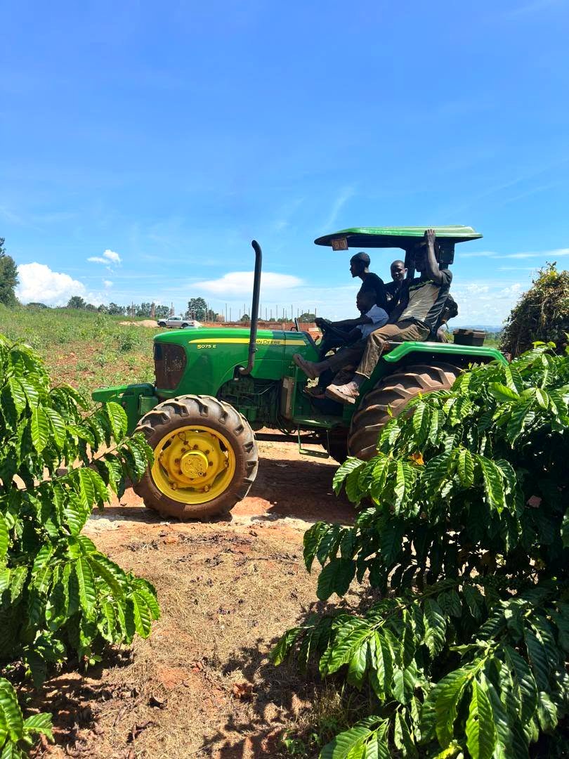 Mechanised work on the estate at Wairasa